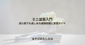ミニ盆栽入門：初心者でも楽しめる基礎知識と実践ガイド