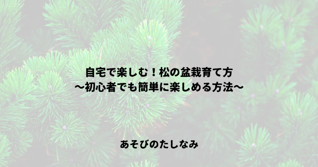 自宅で楽しむ！松の盆栽育て方〜初心者でも簡単に楽しめる方法
