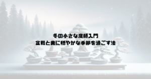 冬の小さな庭師入門：盆栽と共に穏やかな季節を過ごす法